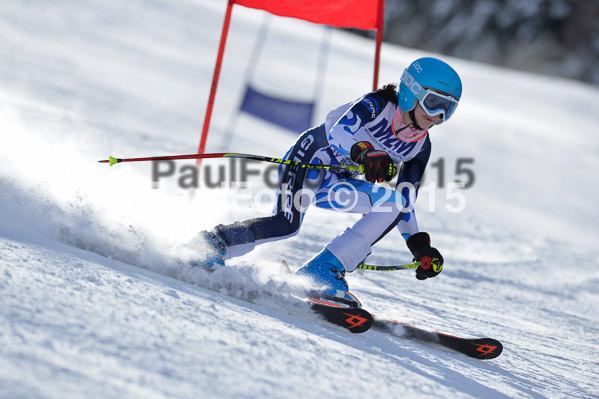Skikreismeisterschaft STA 2015