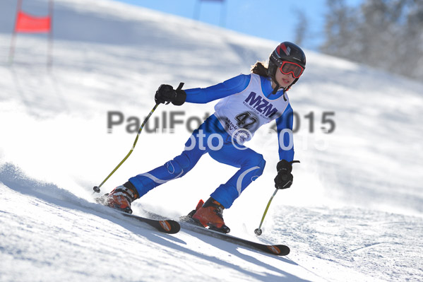 Skikreismeisterschaft STA 2015