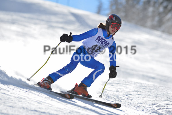 Skikreismeisterschaft STA 2015