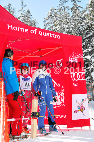 Skikreismeisterschaft STA 2015