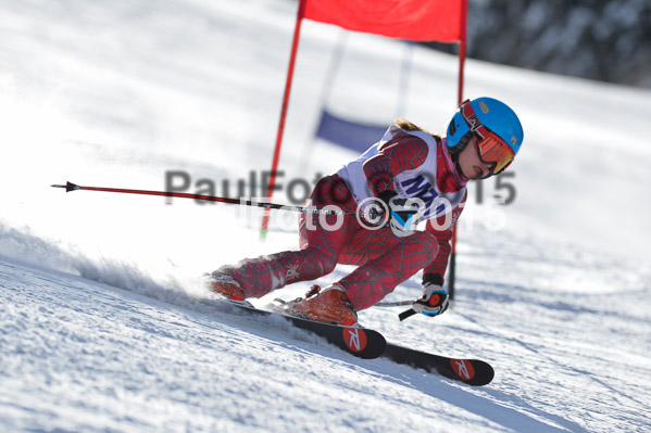 Skikreismeisterschaft STA 2015