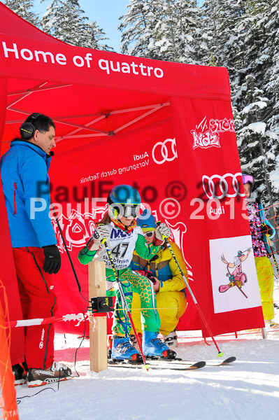 Skikreismeisterschaft STA 2015