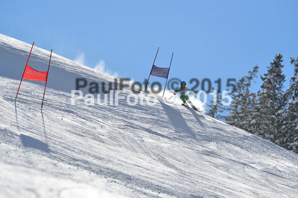 Skikreismeisterschaft STA 2015