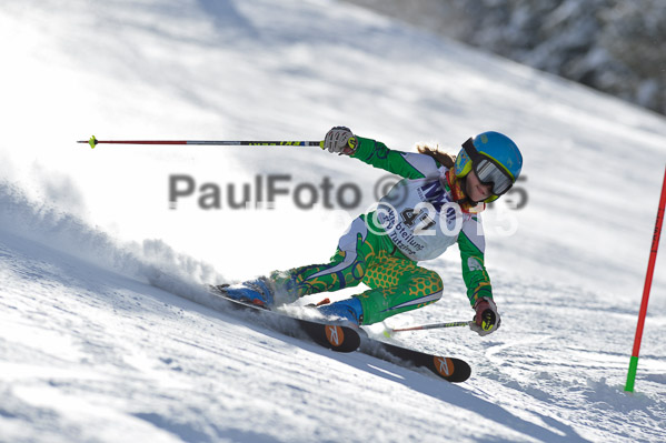 Skikreismeisterschaft STA 2015