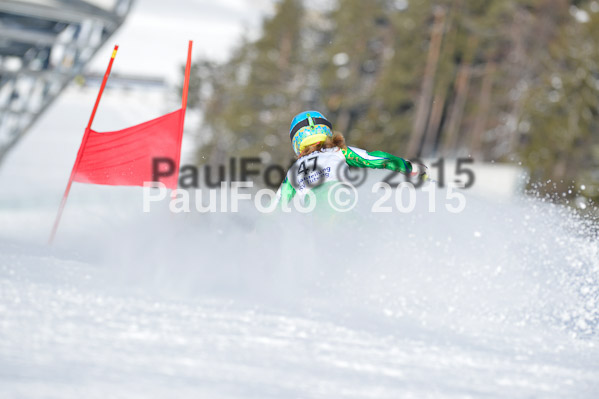 Skikreismeisterschaft STA 2015