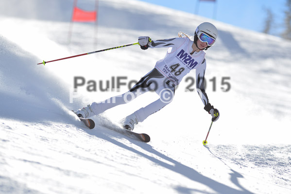 Skikreismeisterschaft STA 2015