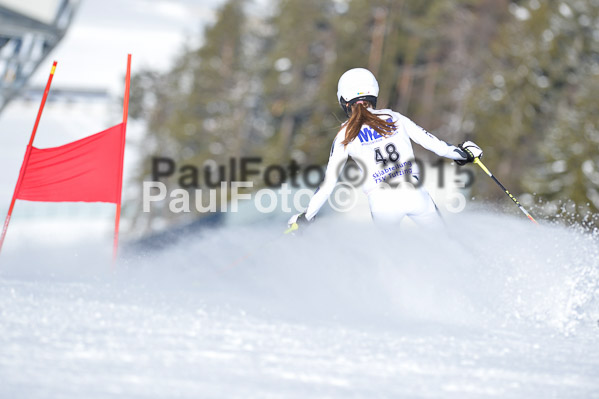 Skikreismeisterschaft STA 2015