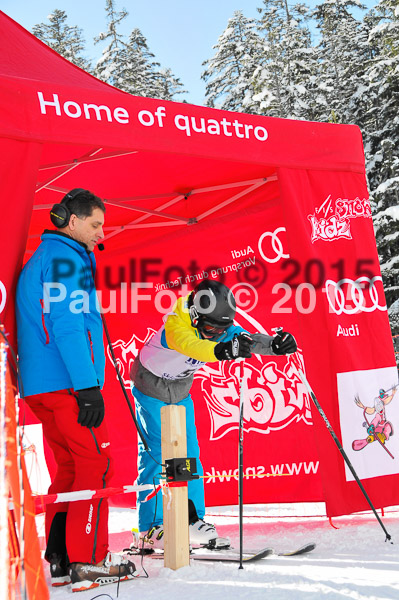Skikreismeisterschaft STA 2015