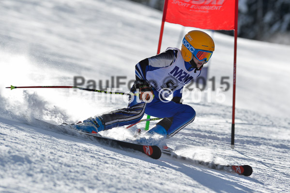 Skikreismeisterschaft STA 2015