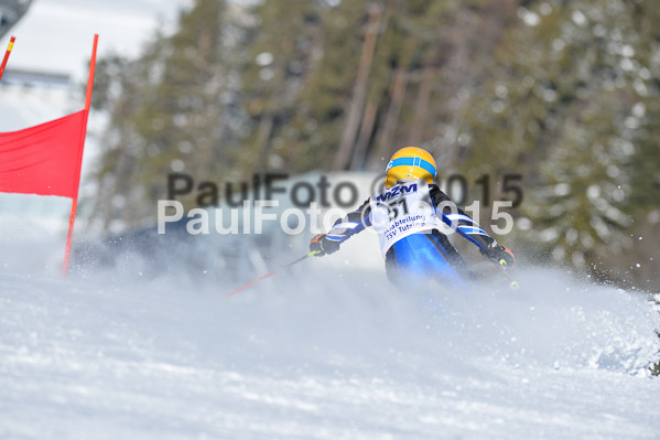 Skikreismeisterschaft STA 2015