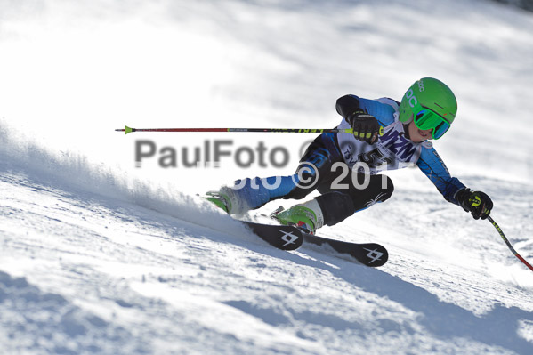 Skikreismeisterschaft STA 2015