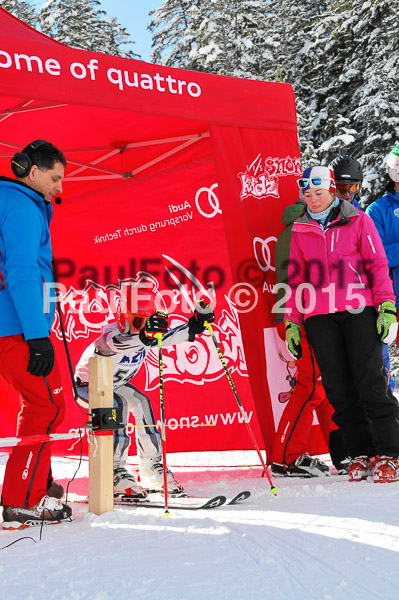Skikreismeisterschaft STA 2015