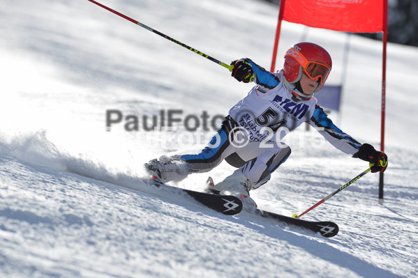 Skikreismeisterschaft STA 2015