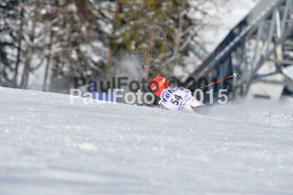Skikreismeisterschaft STA 2015