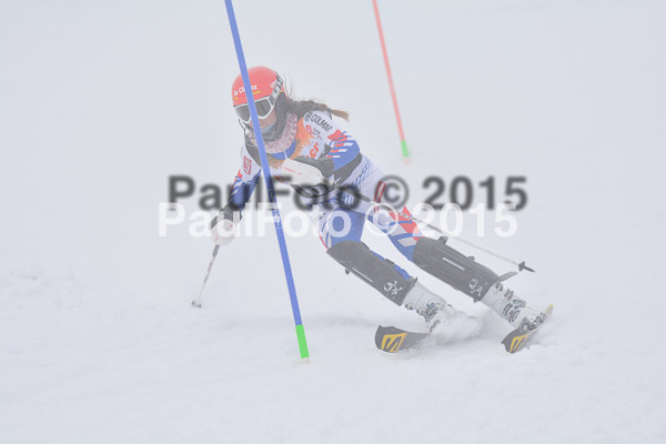 6 Nationen Vergleich 2015
