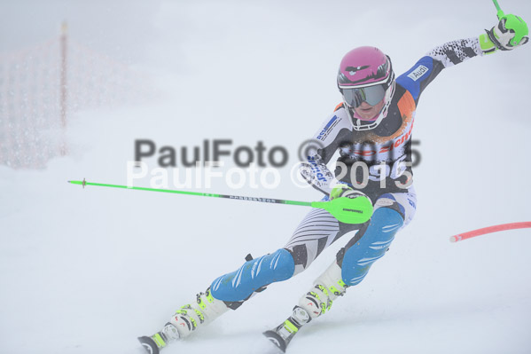 6 Nationen Vergleich 2015