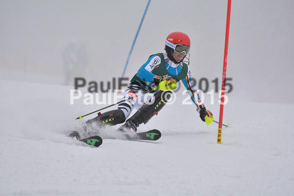 NJC Rennen Herren SK 2015
