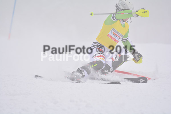 NJC Rennen Herren SK 2015