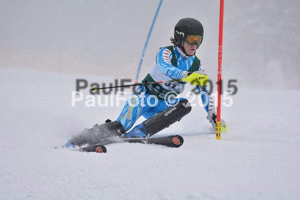 NJC Rennen Herren SK 2015