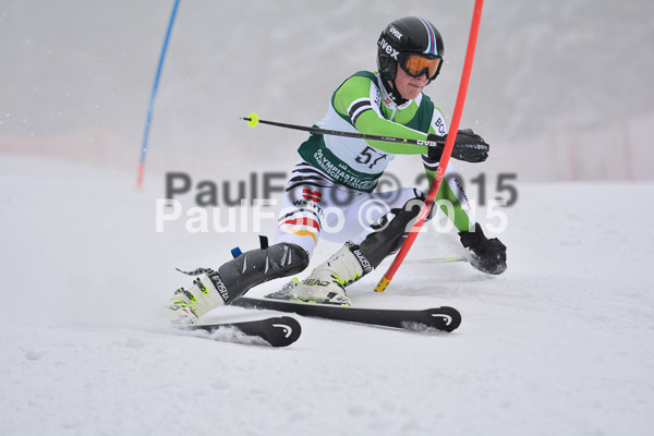NJC Rennen Herren SK 2015