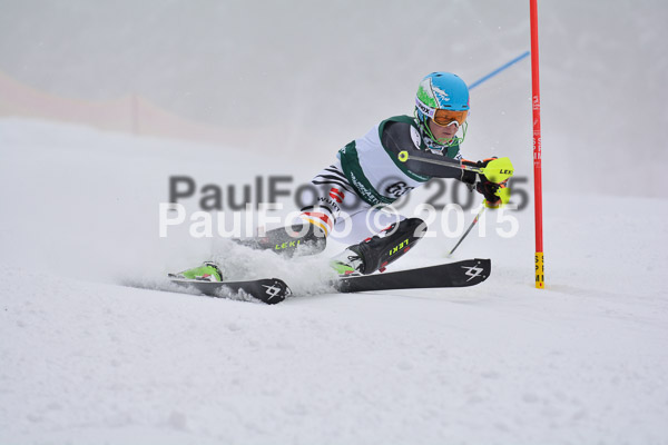 NJC Rennen Herren SK 2015