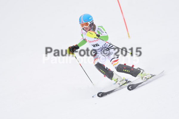 NJC Rennen Herren SK 2015