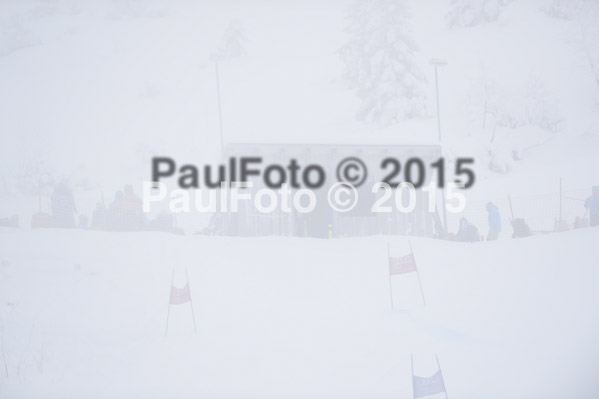 6 Nationen Vergleich 2015