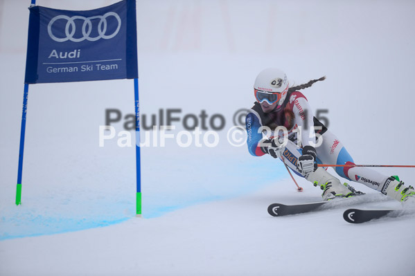 6 Nationen Vergleich 2015