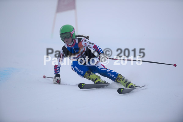 6 Nationen Vergleich 2015