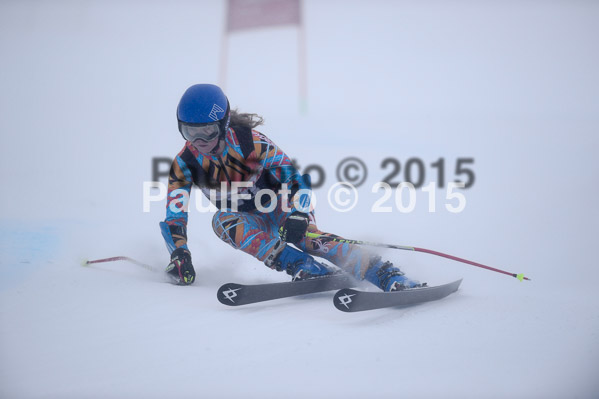 6 Nationen Vergleich 2015