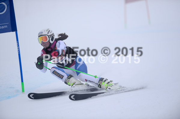 6 Nationen Vergleich 2015
