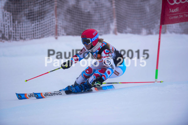 6 Nationen Vergleich 2015