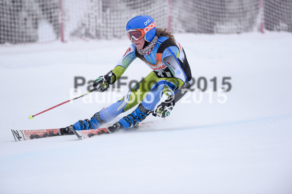 6 Nationen Vergleich 2015