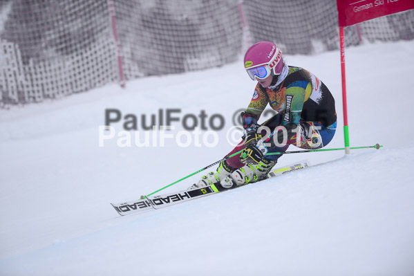 6 Nationen Vergleich 2015