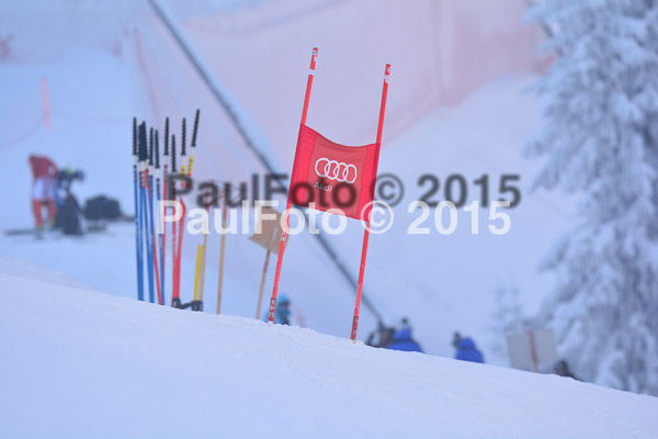 NJC Rennen Herren SK Super-G 2015