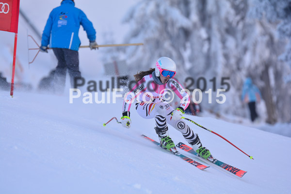 NJC Rennen Herren SK Super-G 2015