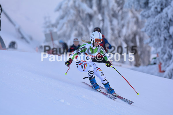 NJC Rennen Herren SK Super-G 2015