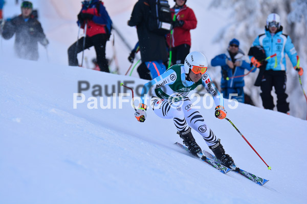 NJC Rennen Herren SK Super-G 2015