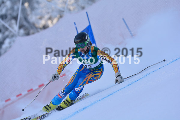 NJC Rennen Herren SK Super-G 2015