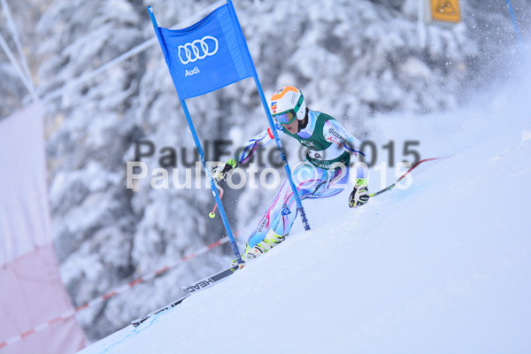NJC Rennen Herren SK Super-G 2015