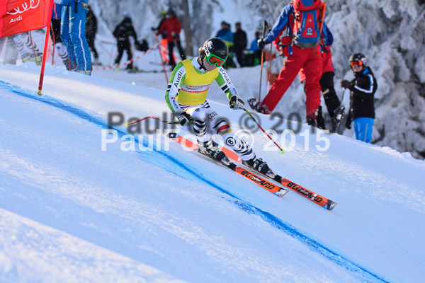 NJC Rennen Herren SK Super-G 2015