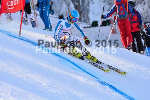 NJC Rennen Herren SK Super-G 2015
