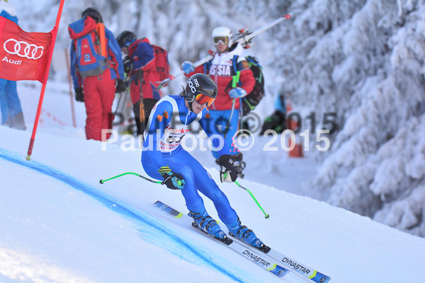 NJC Rennen Herren SK Super-G 2015