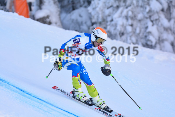 NJC Rennen Herren SK Super-G 2015