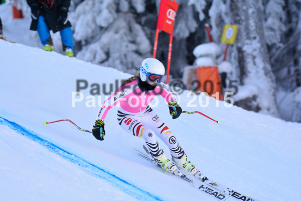 NJC Rennen Herren SK Super-G 2015