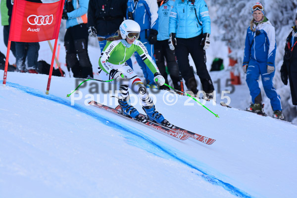 NJC Rennen Herren SK Super-G 2015