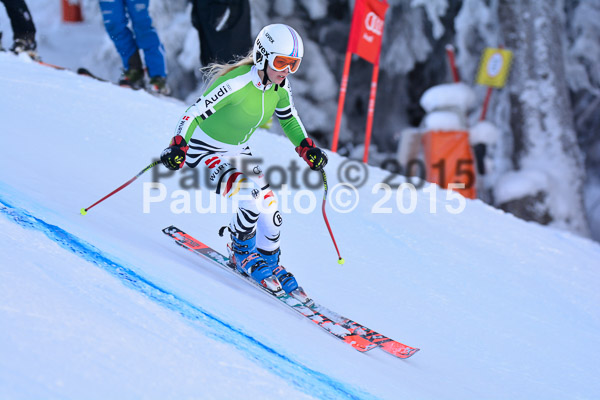 NJC Rennen Herren SK Super-G 2015