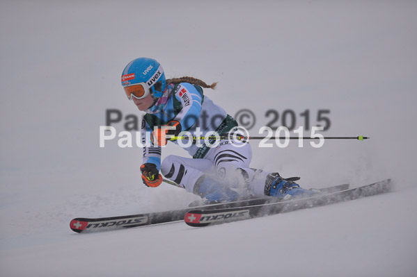 FIS + NJR Rennen Damen + Herren RS 2015