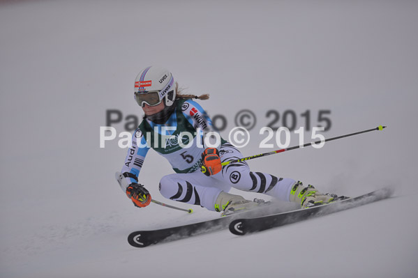 FIS + NJR Rennen Damen + Herren RS 2015