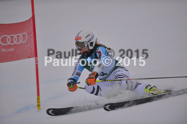 FIS + NJR Rennen Damen + Herren RS 2015